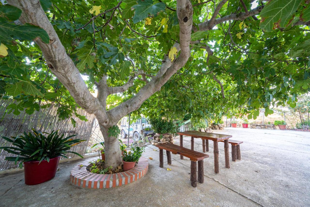 Hostal Vista A La Sierra Valle de Abdalagis Bagian luar foto
